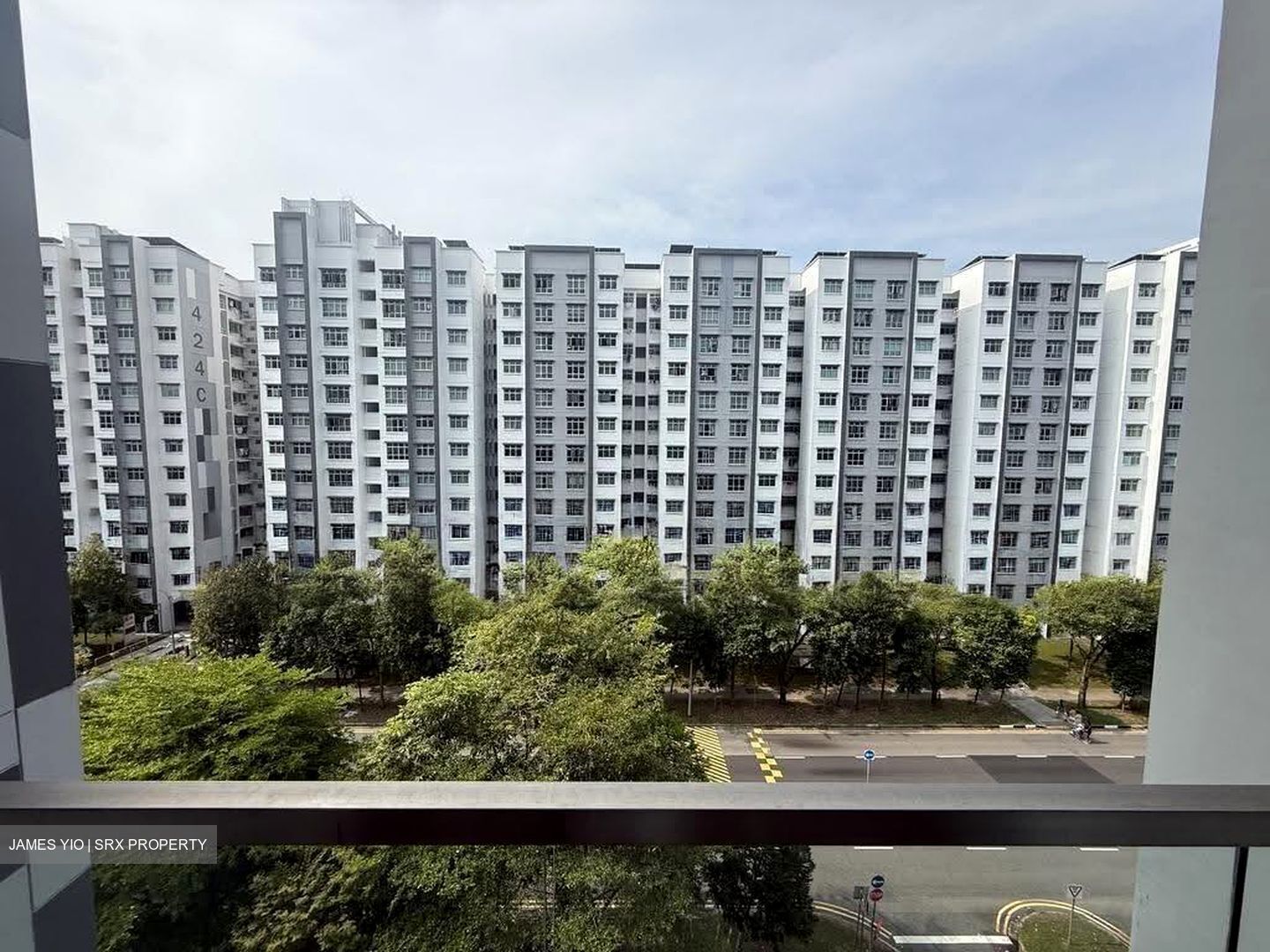 The Canopy (D27), Condominium #616597661
